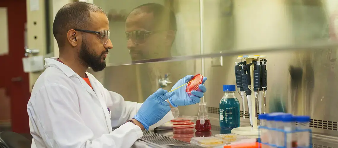 Male graduate student in a lab swabbing a petri dish
