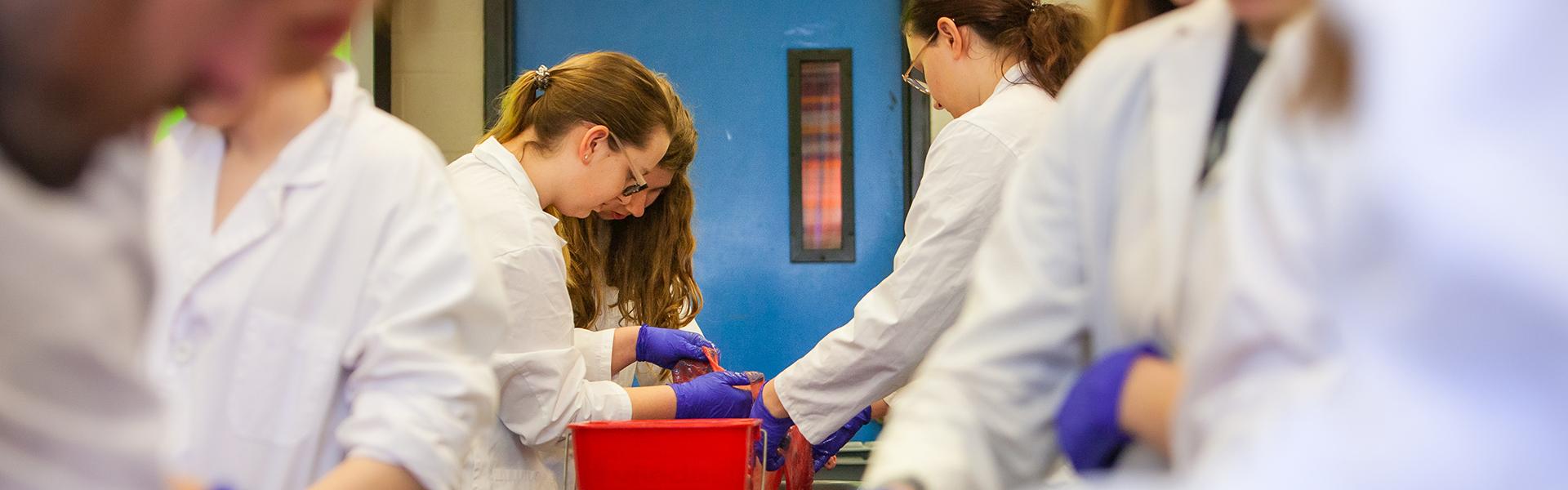 Animal Biology Major