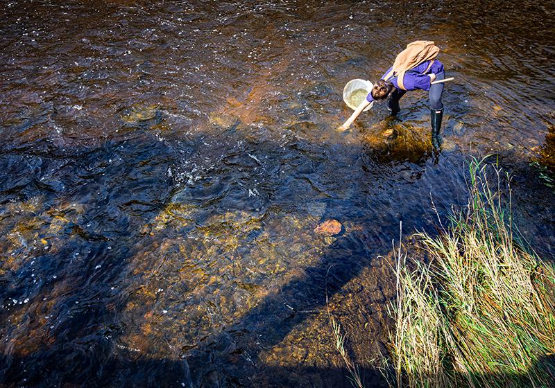 Bachelor of Indigenous Environmental Science and Practice