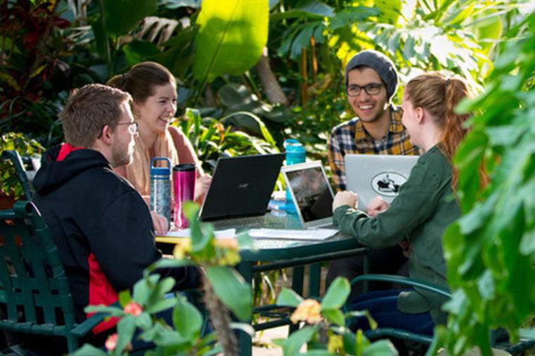 Four students at a table with laptops surrounded by tropical greenery