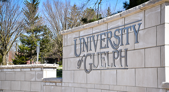 Outdoor brick wall with the University of Guelph logo