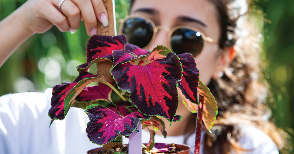 student measuring a plant