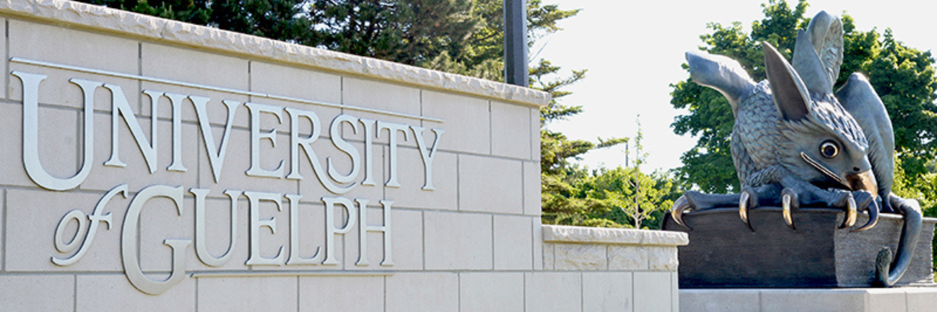 Photograph of the Gryphon statue with the brick wall beside it in the foreground which reads 'University of Guelph'.