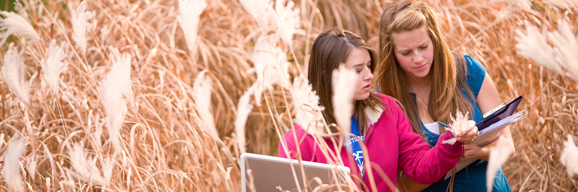 two female students in a wheat field, holding laptops, inspecting the crops