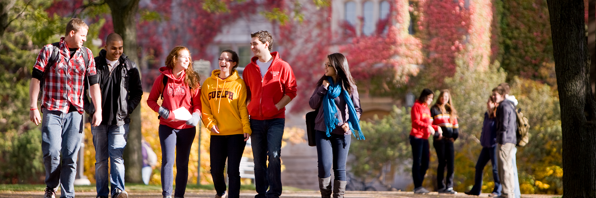 6 students walking on campus at u of guelph