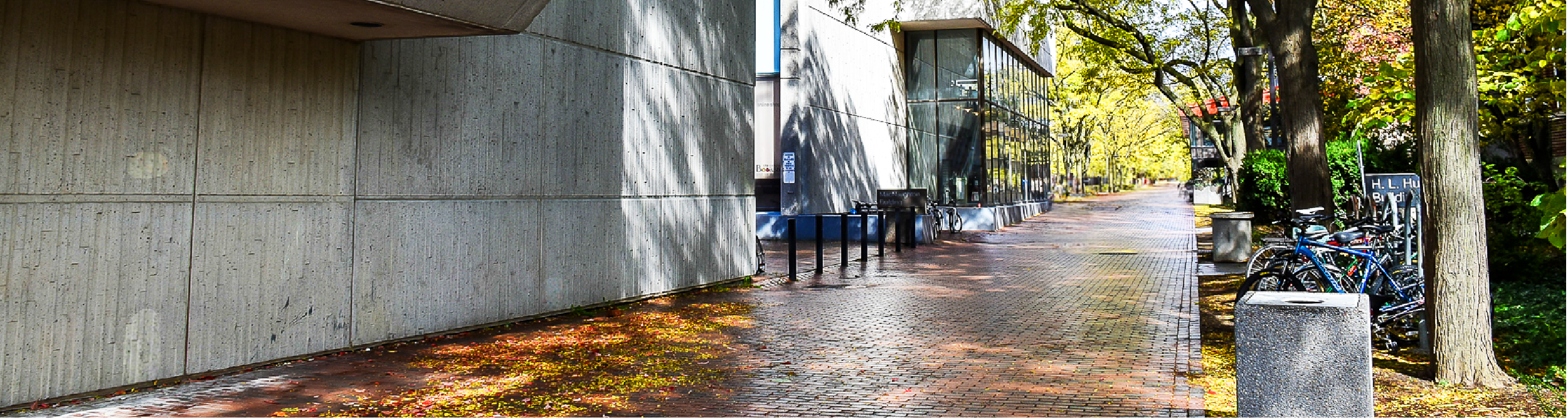 The MacNaughton Building at the University of Guelph during fall time