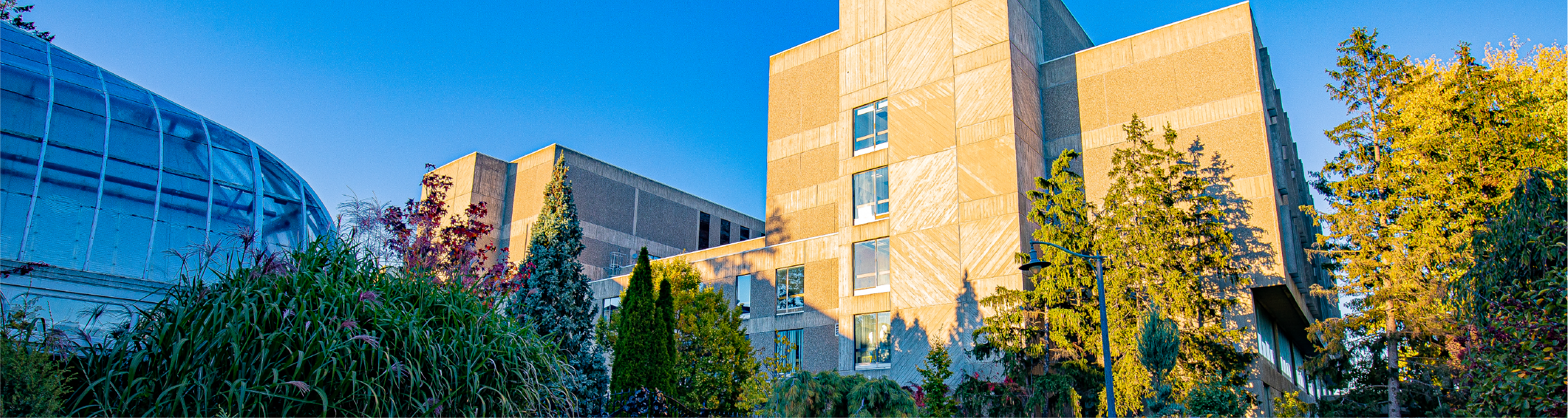 University Centre at the University of Guelph during fall time