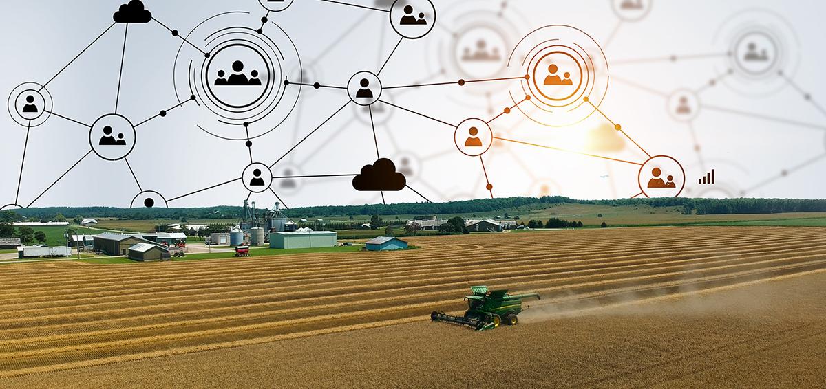 Aerial view of a wheat field being harvested with farm in the background and the sky replaced with icon graphics representing knowledge translation. 