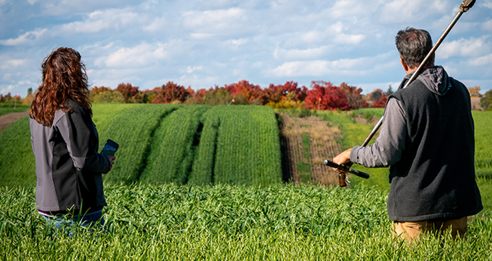 two people examining a field, the person on the right is holding a tiling device
