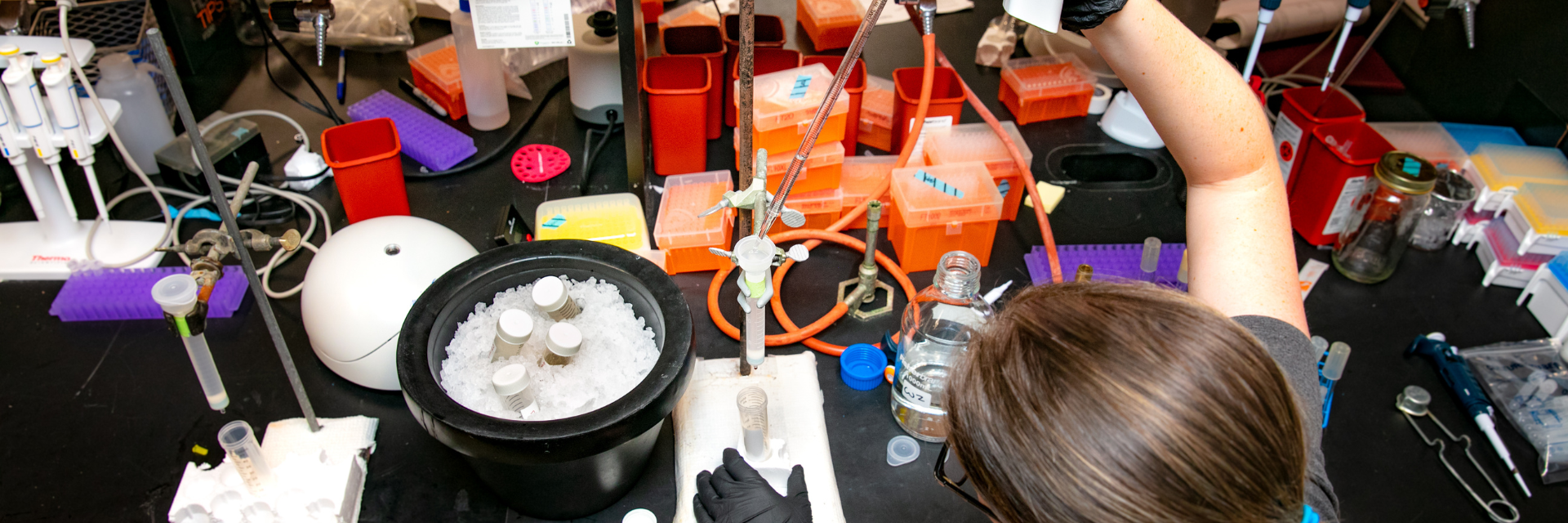 Student using pipette in lab