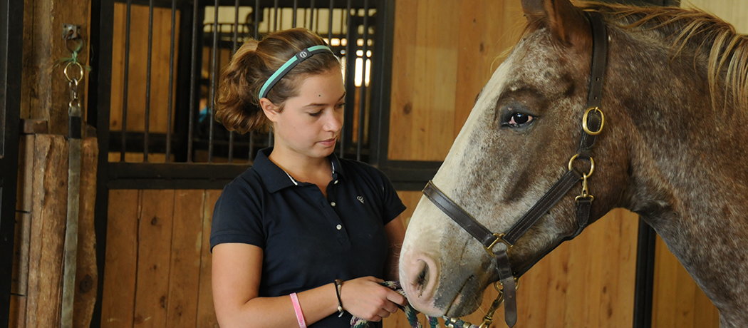 a student holding reigns to a horse in a stable