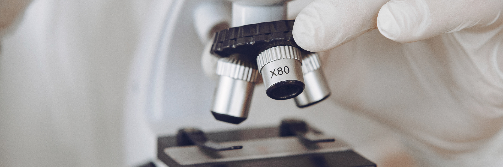 PhD Bioinformatics interdisciplinary program banner