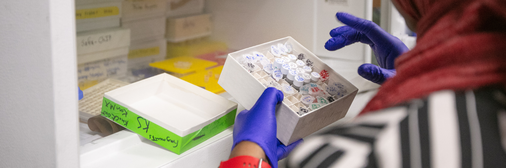 Image of graduate student performing lab procedure