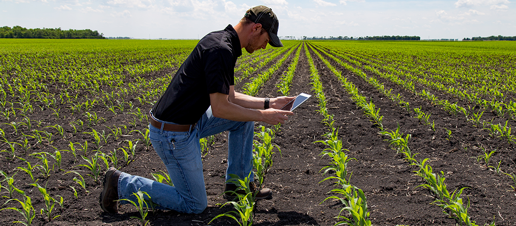 a man in a field looking at a tablet