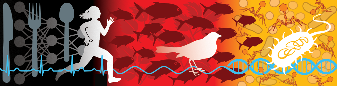 Illustration showing the range of subjects studied in CBS