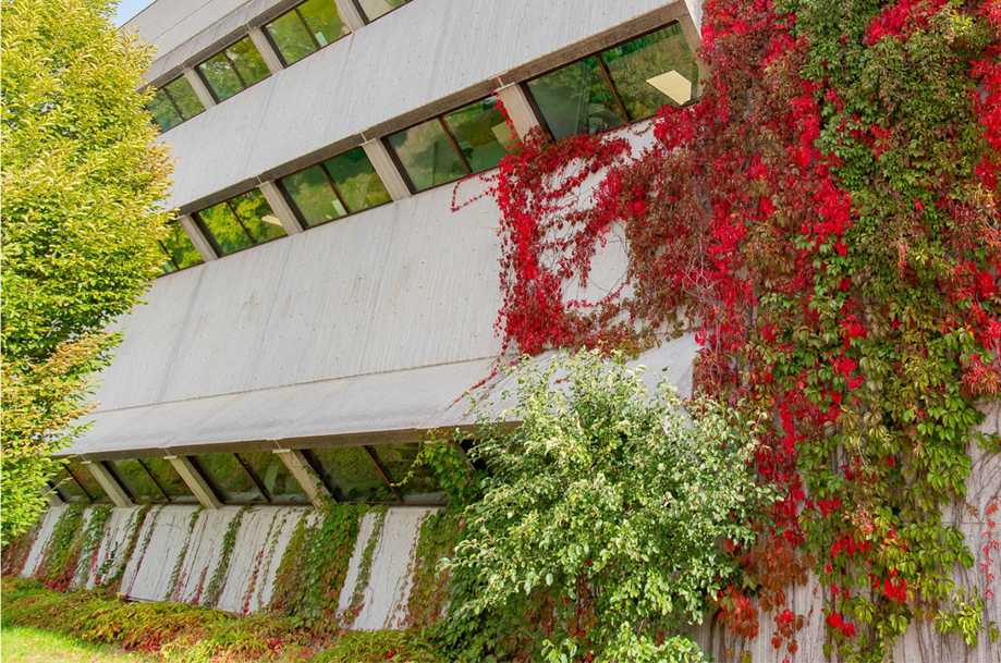 MacNaughton building in the University of Guelph in the fall time