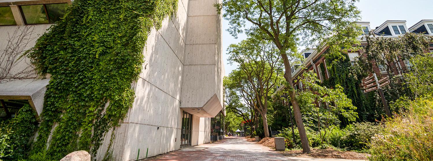 Image of MacNaughton building in July looking towards central campus