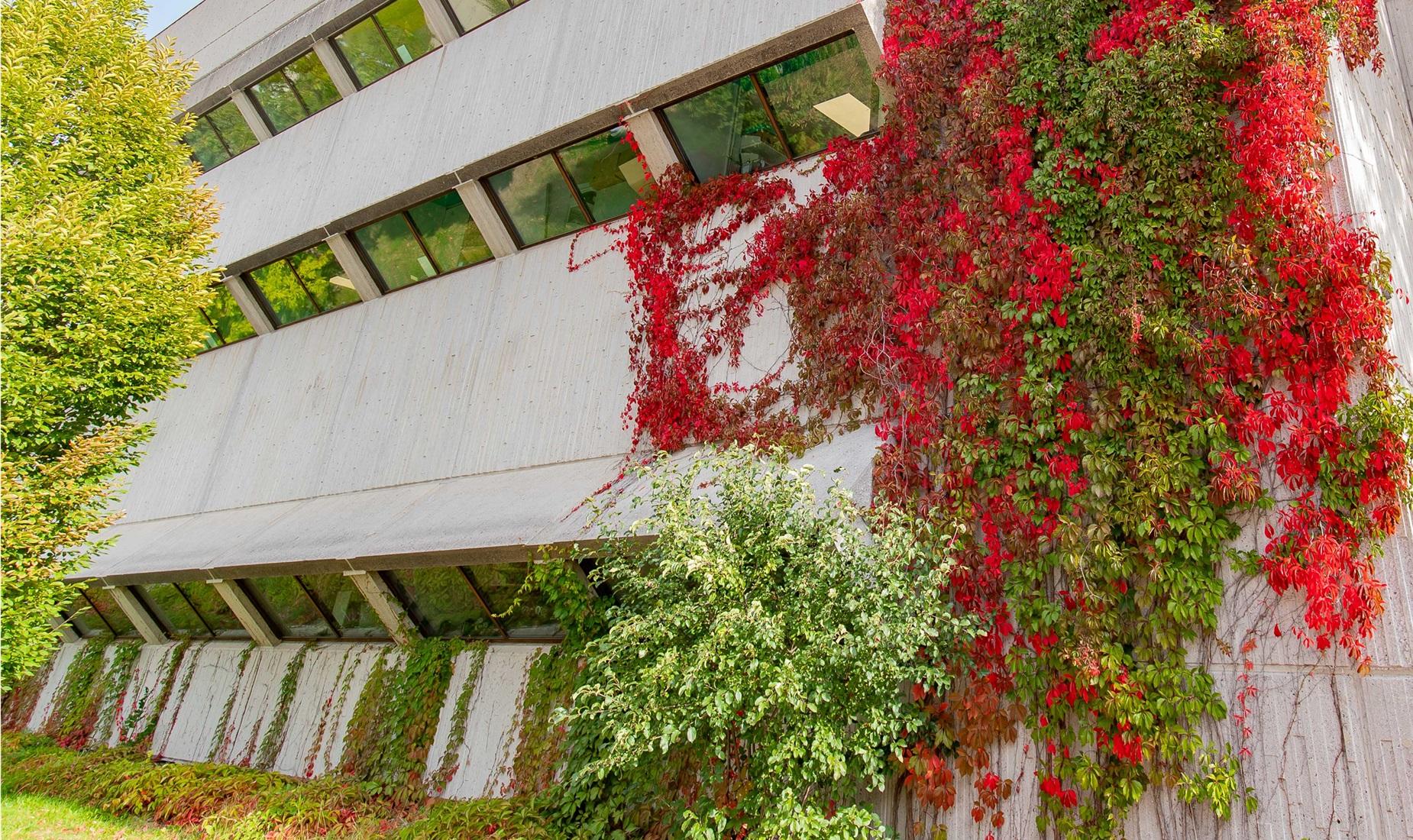 MacNaughton building in the University of Guelph in the spring time