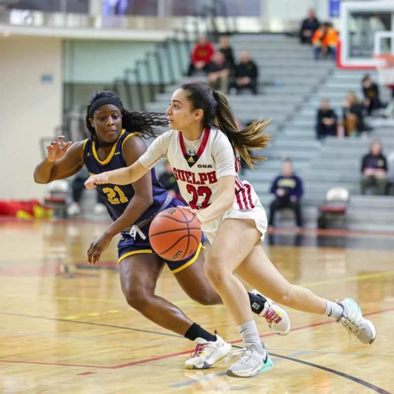 Students playing basketball