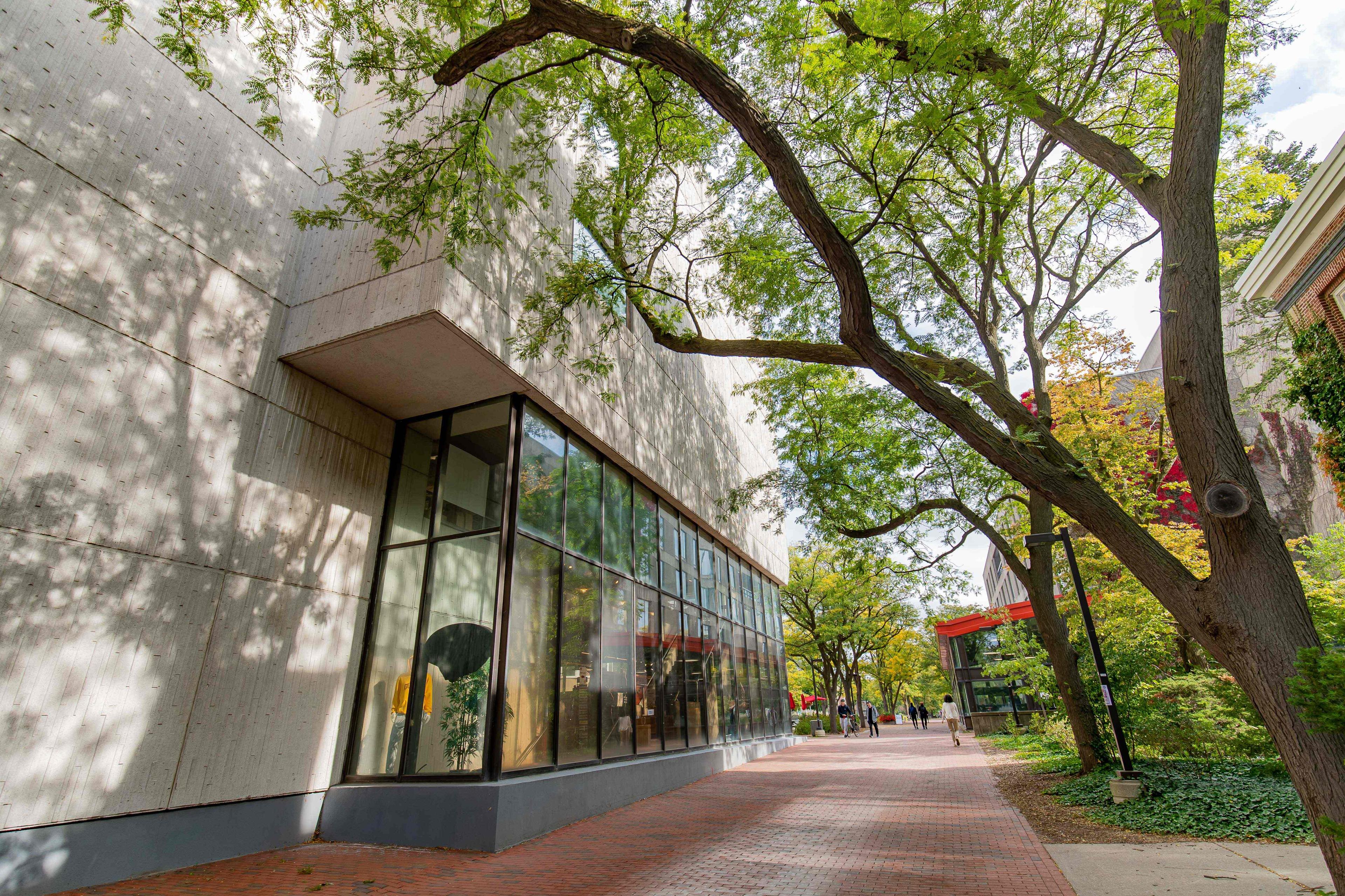 Macnaughton building in the summer