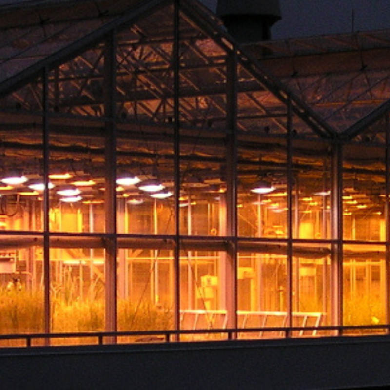 Greenhouse at night