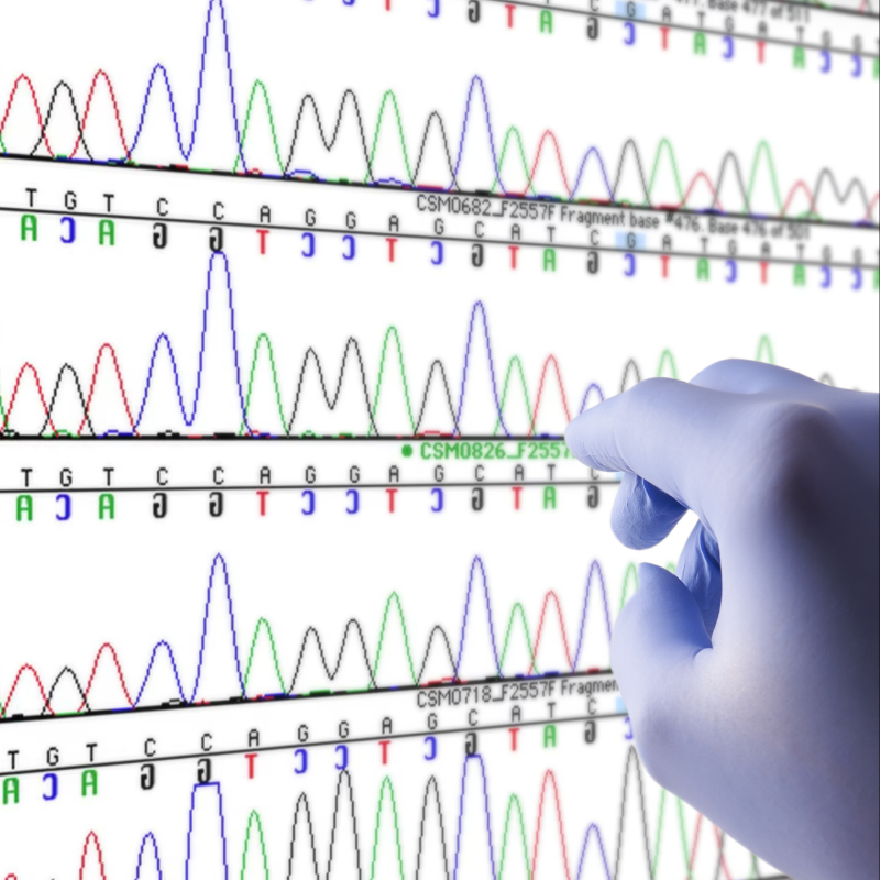 A student in blue glove pointing at a graph.