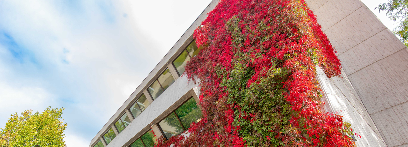MacNaughton building in the University of Guelph in the fall time