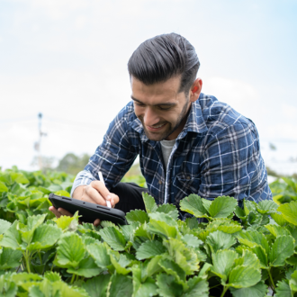 A man writing on a tablet in a field of plants