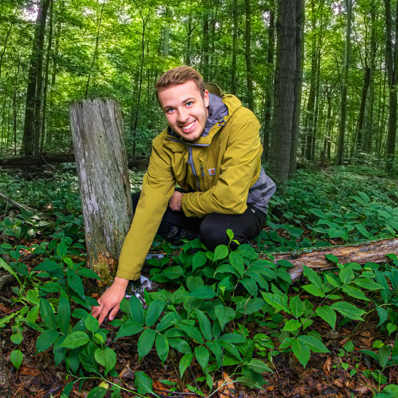 A student kneeling in the woods surrounded by lush green plants.