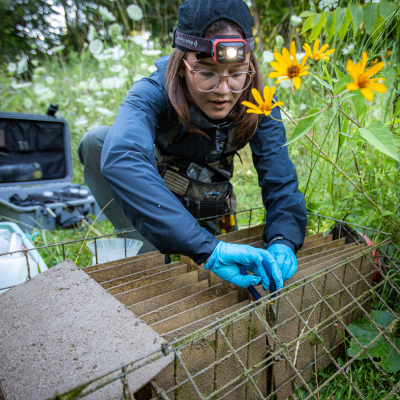 Student at field site