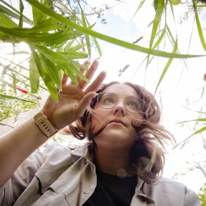 A woman wearing glasses looks up at the plants.