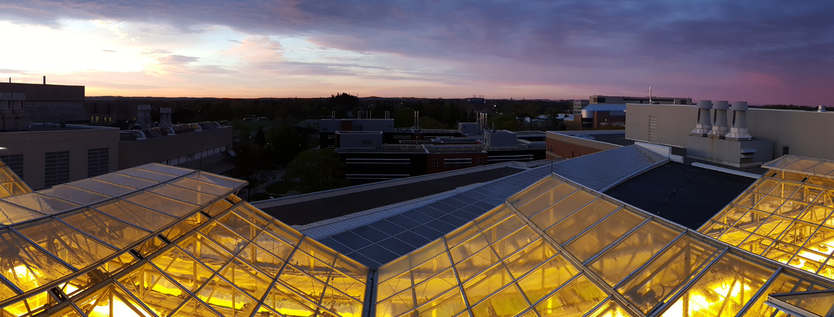 Greenhouse roofs.