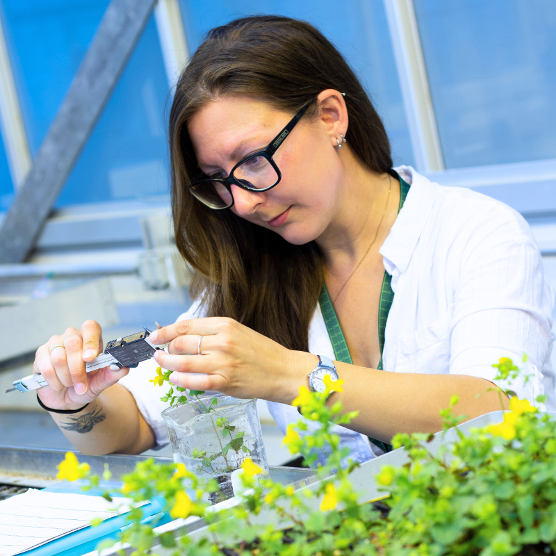 Student in greenhouse