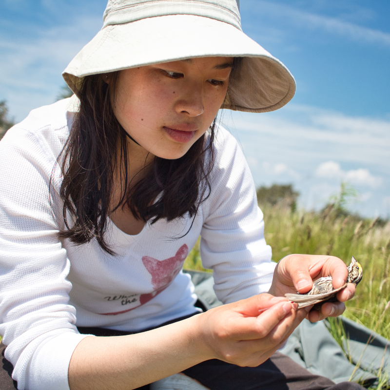 A woman sitting on the grass, looking off into the distance.