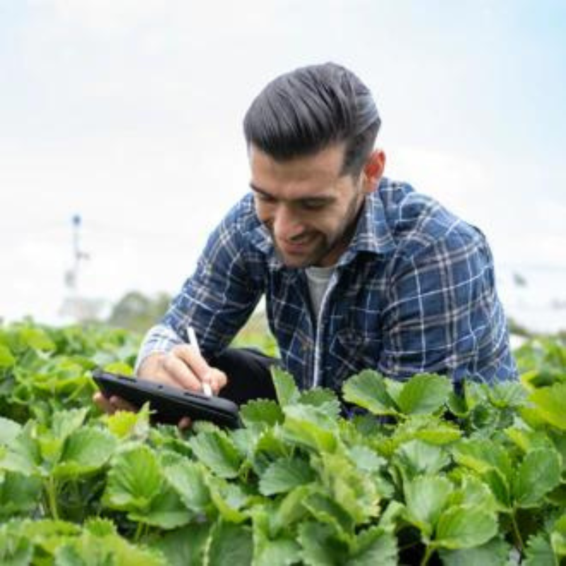 A student stands in a vast field, holding a tablet, engaged in work or exploration amidst the natural landscape.