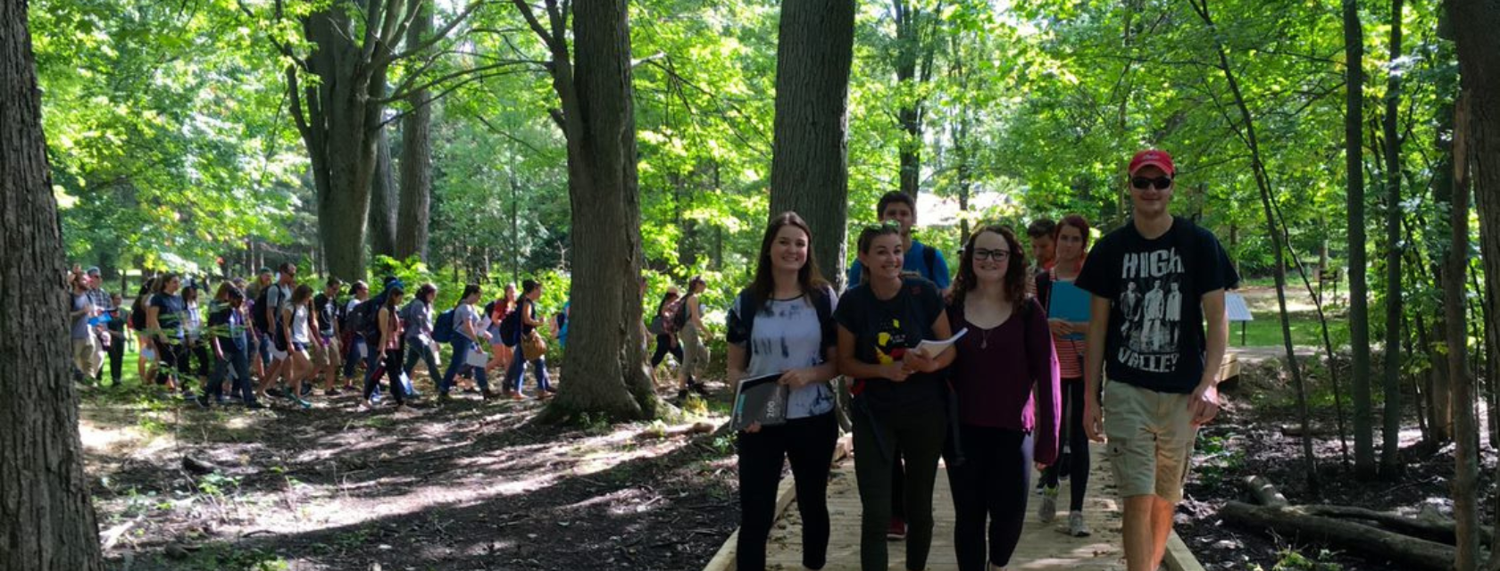 A group of researchers walking in a forest and doing research.