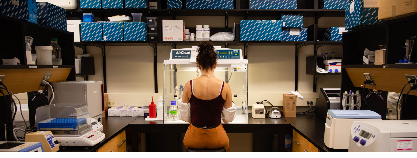 Student working in lab