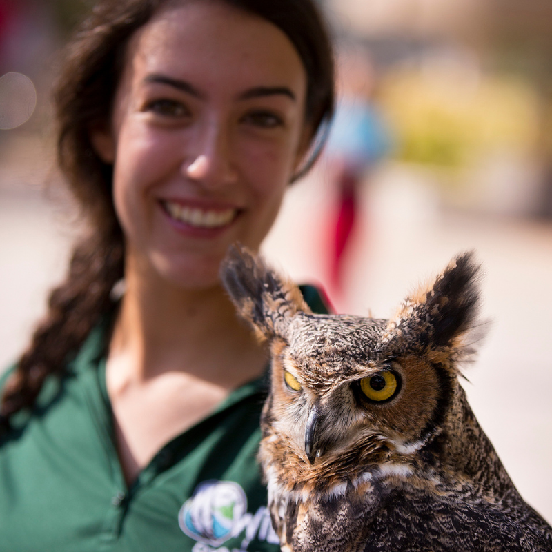 Wild Ontario volunteer with owl