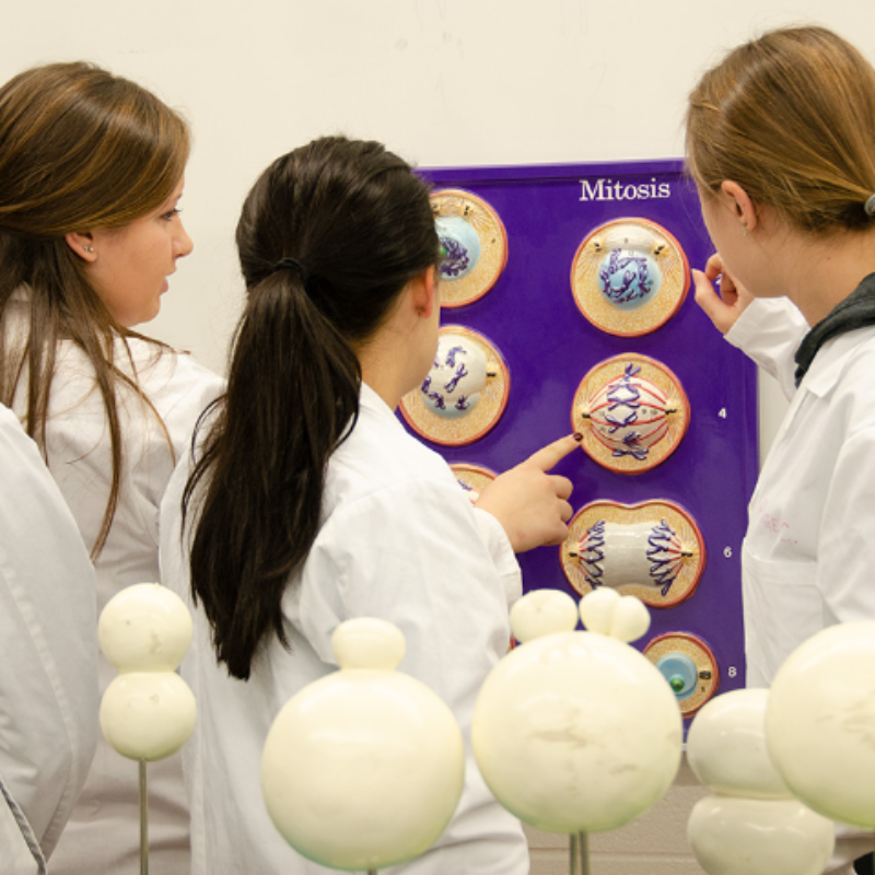 Students in a white lab coat standing confidently, in a lab setting.
