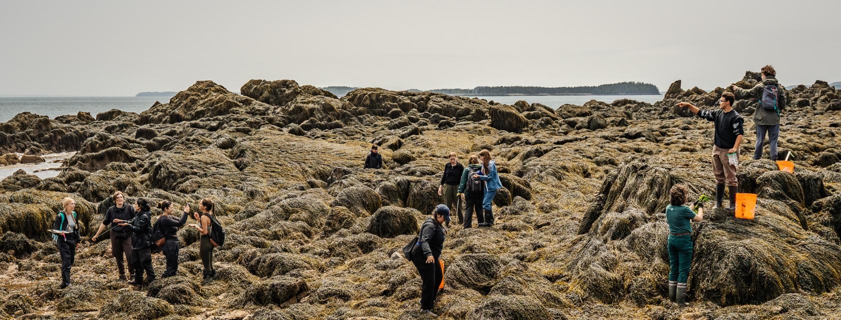 Students doing fieldwork in New Brunswick