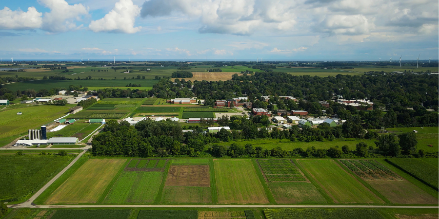 An aerial view of the University of Guelph Ridgetown Campus