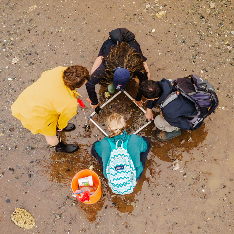 Students doing fieldwork on a beach