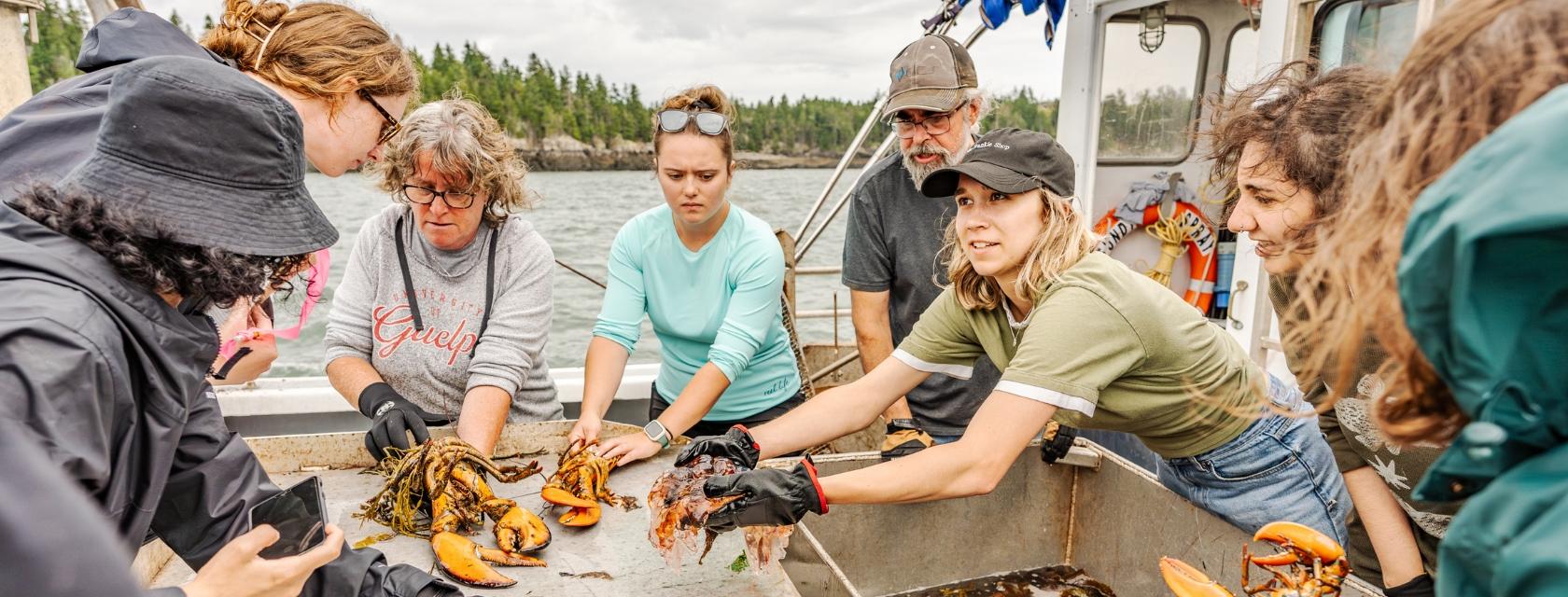 Students and staff examine lobsters