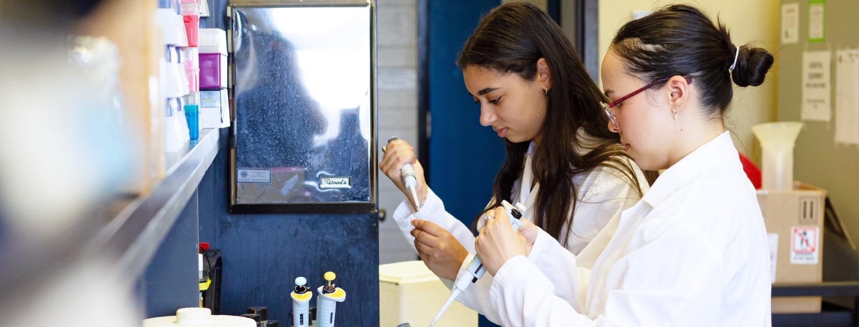 Undergraduate student summer researchers