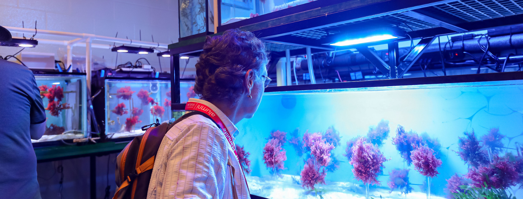 A lady looking at a fishtank