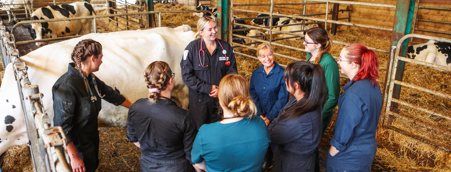 Six Veterinary Assistant and Office Administration students gathered around their professor in a dairy barn