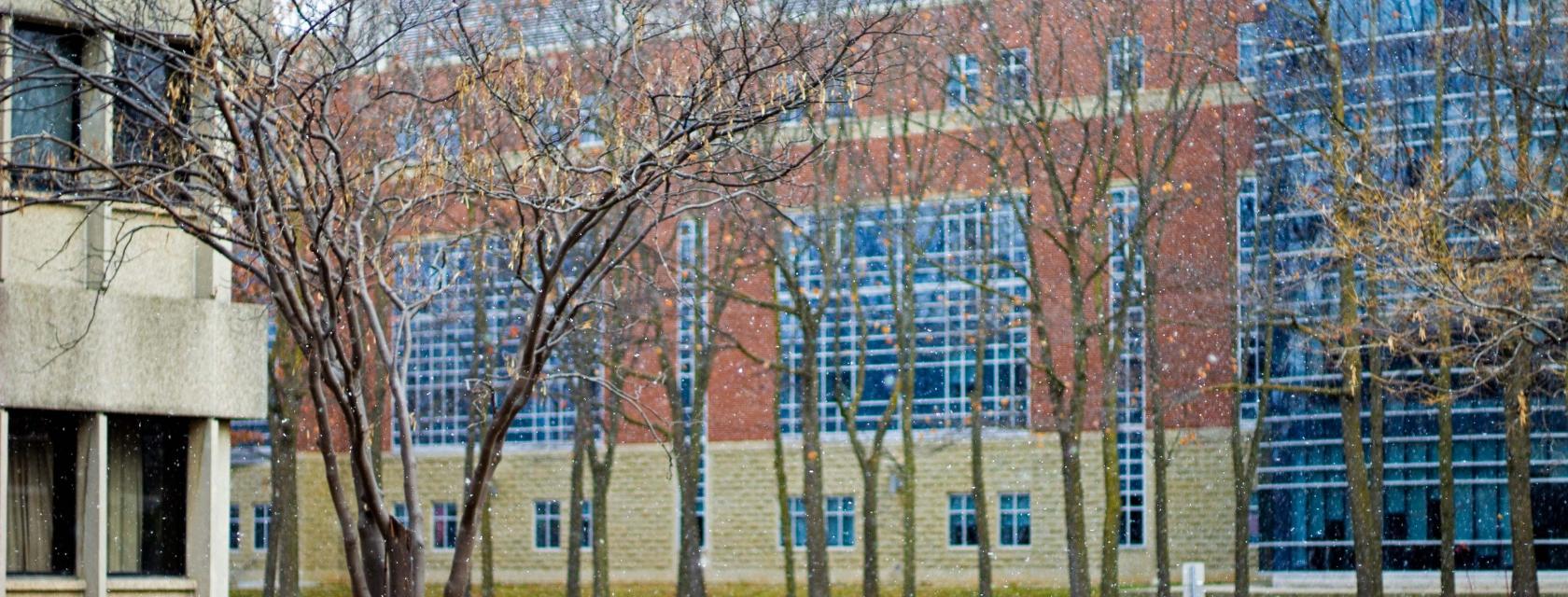 Tree outside Animal Sciences building