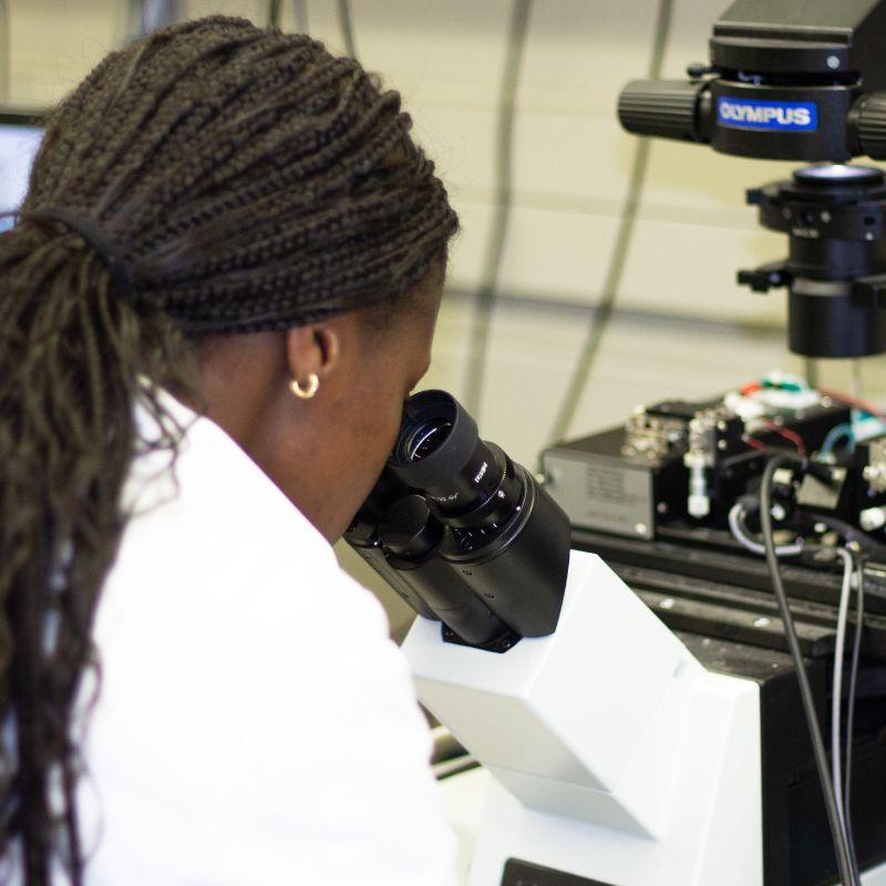 Student using microscope