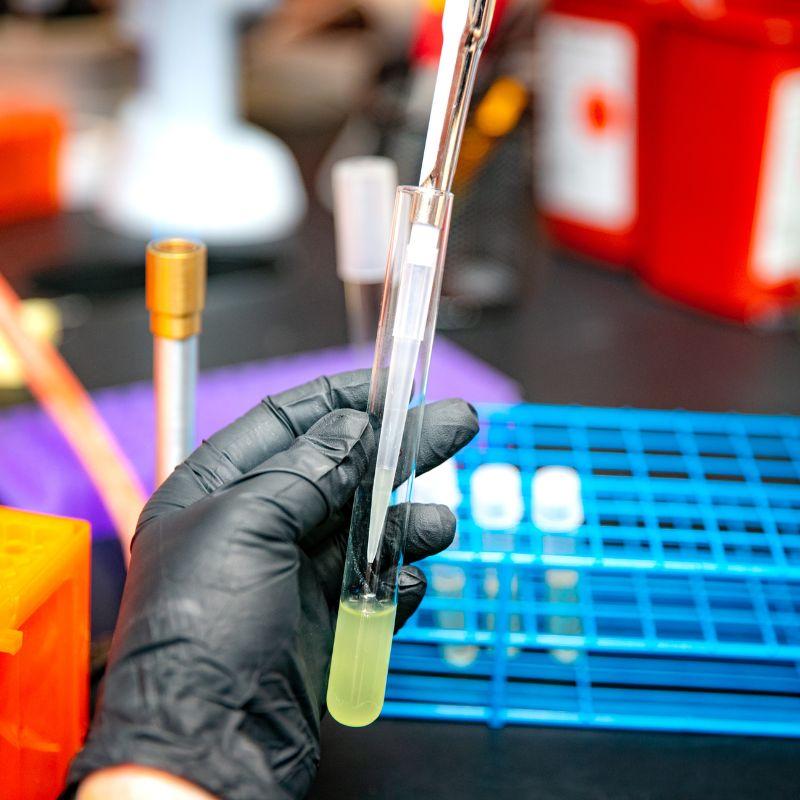 Pippette with chemical