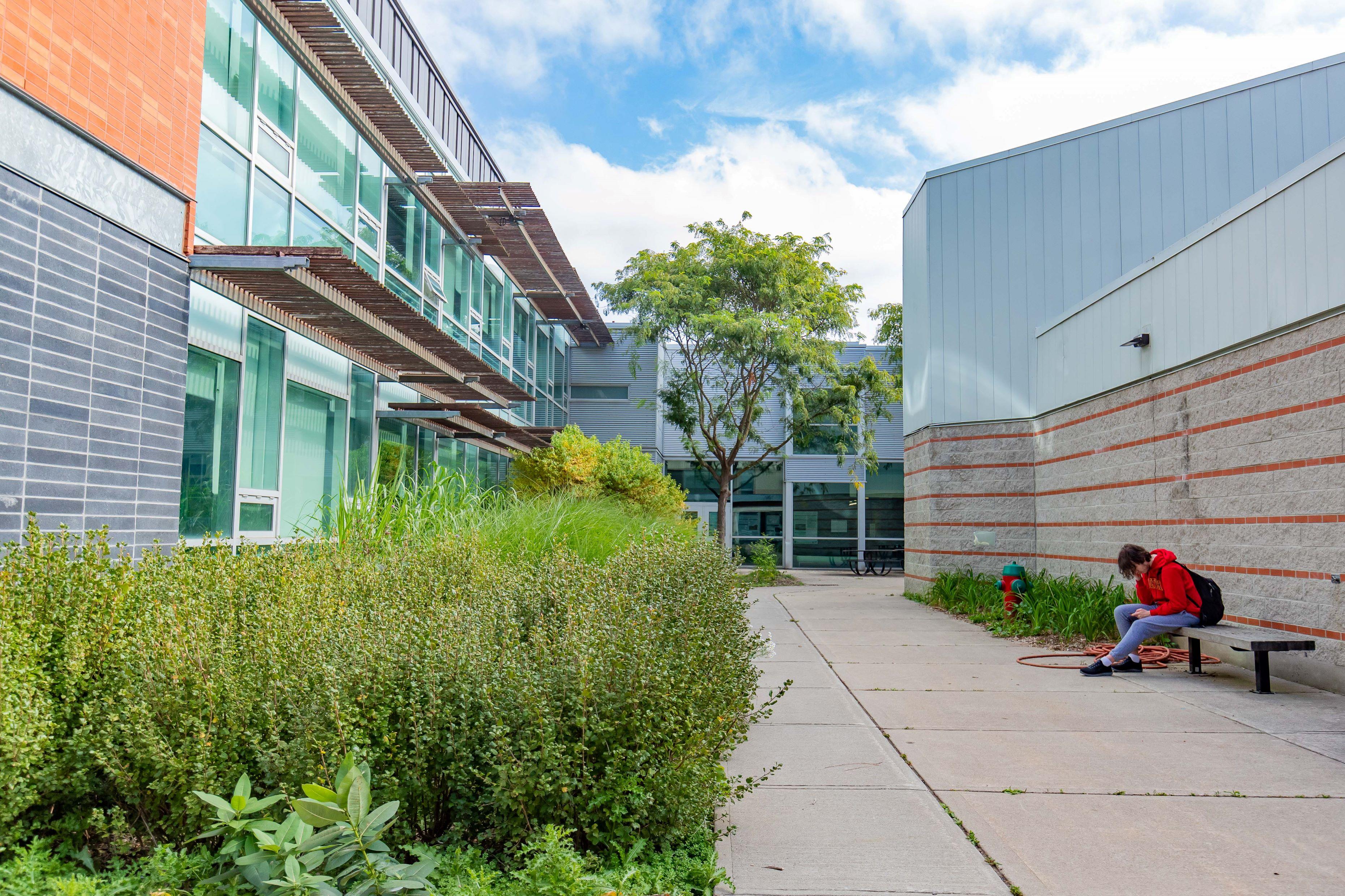 The side of Thornbrough Building at the University of Guelph with a student sitting on the bench.